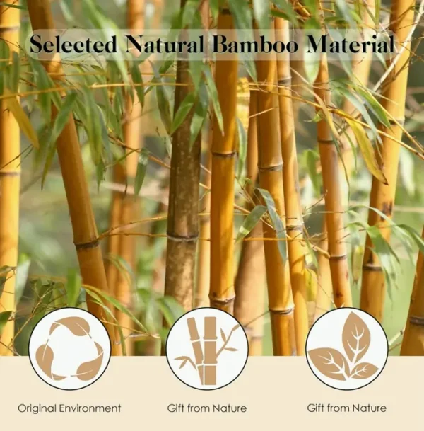Bamboo Hairbrush for Hair Growth