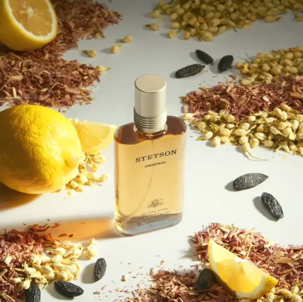 Stetson Fragrance for Men - Woody Scent - 2¼ Fluid Oz